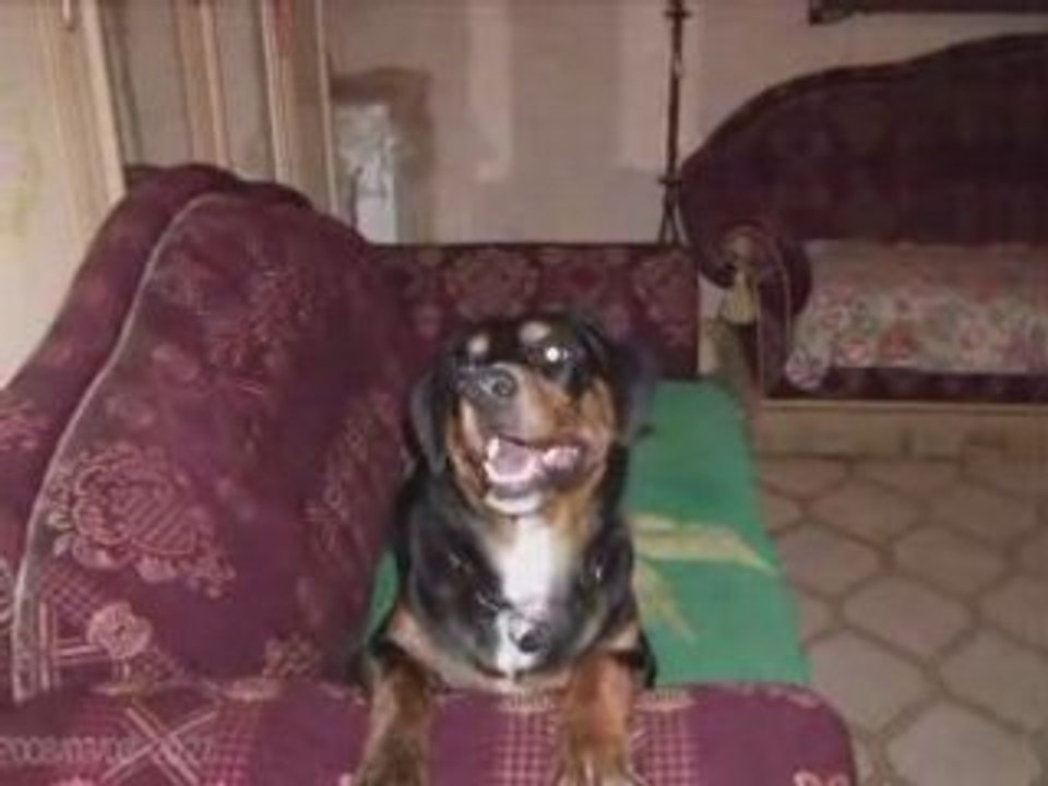 Chicca