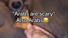 Memes Arabs 😂dog