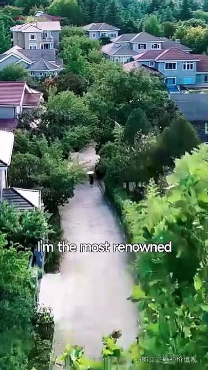 Her Final Say - Ascending After Betrayal Dramabo