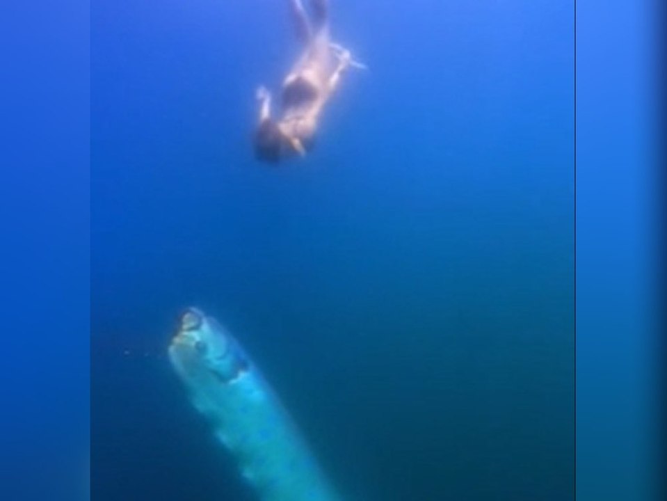 Taucherin hat seltene Begegnung mit 'Weltuntergangsfisch'