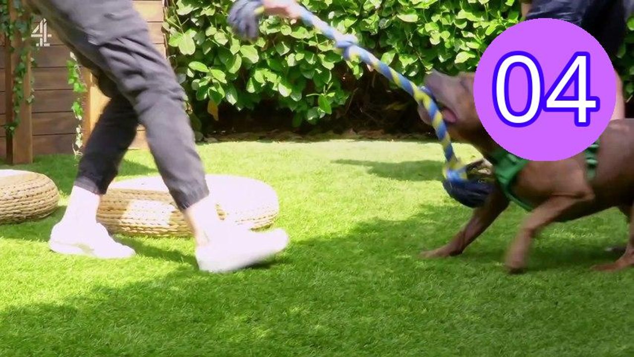 The Dog House S09E04 Episode 4 Engsub