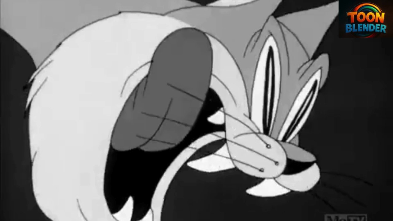 🐱 Looney Tunes – Puss 'N Booty | Classic Cartoon Comedy 🎬😂