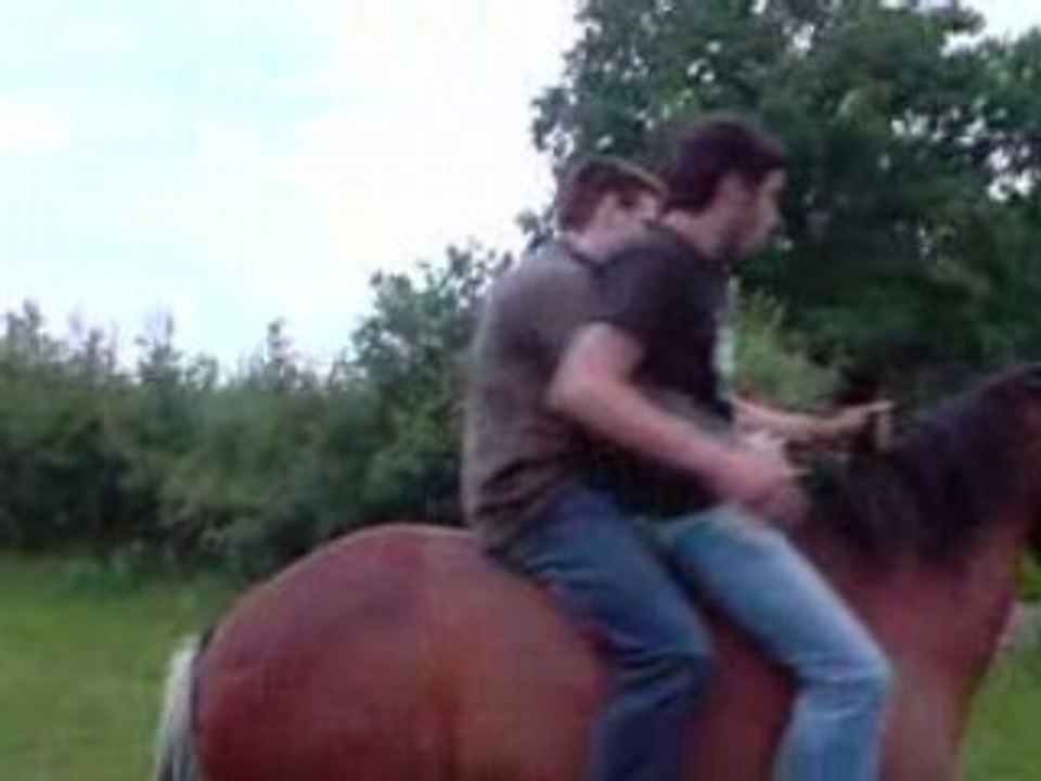 Equitation bourré