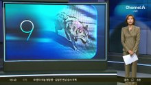 동물원 탈출한 늑대 ‘늑구’…이틀째 ‘행방 묘연’