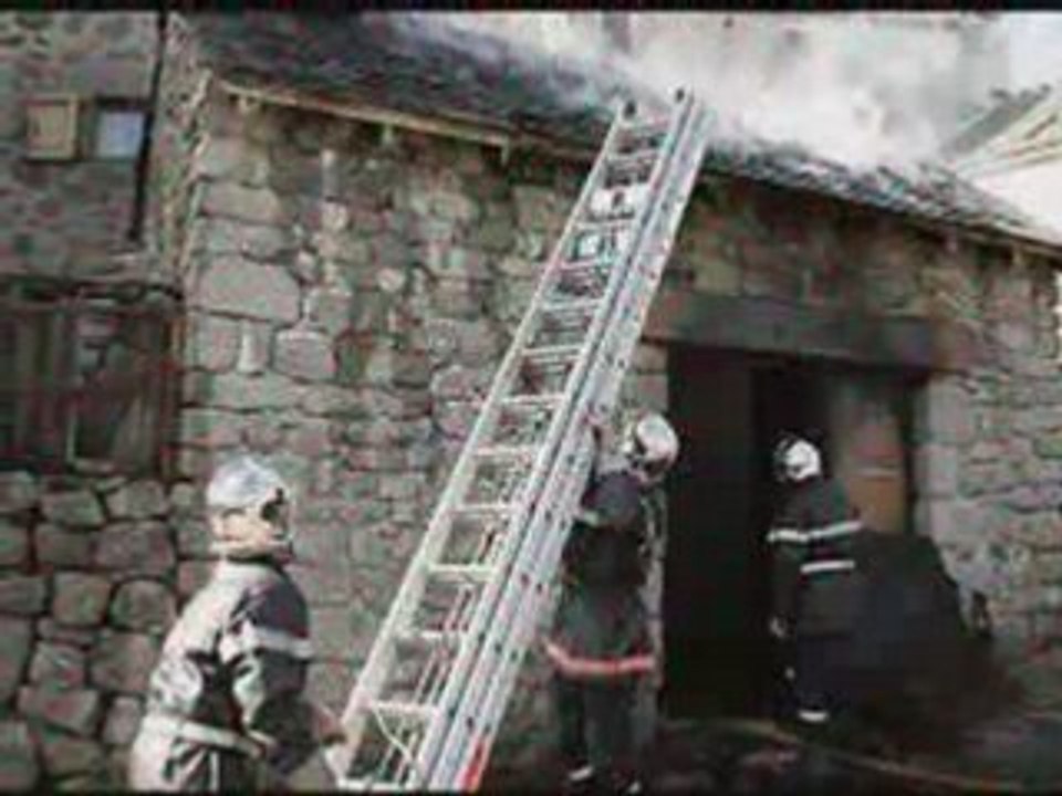 VIDEO FLO 2