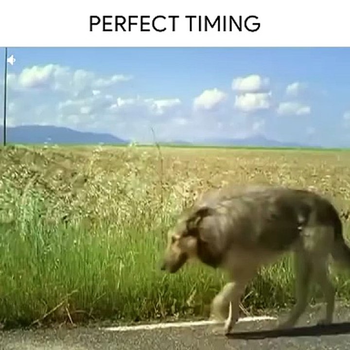 Perfect timing