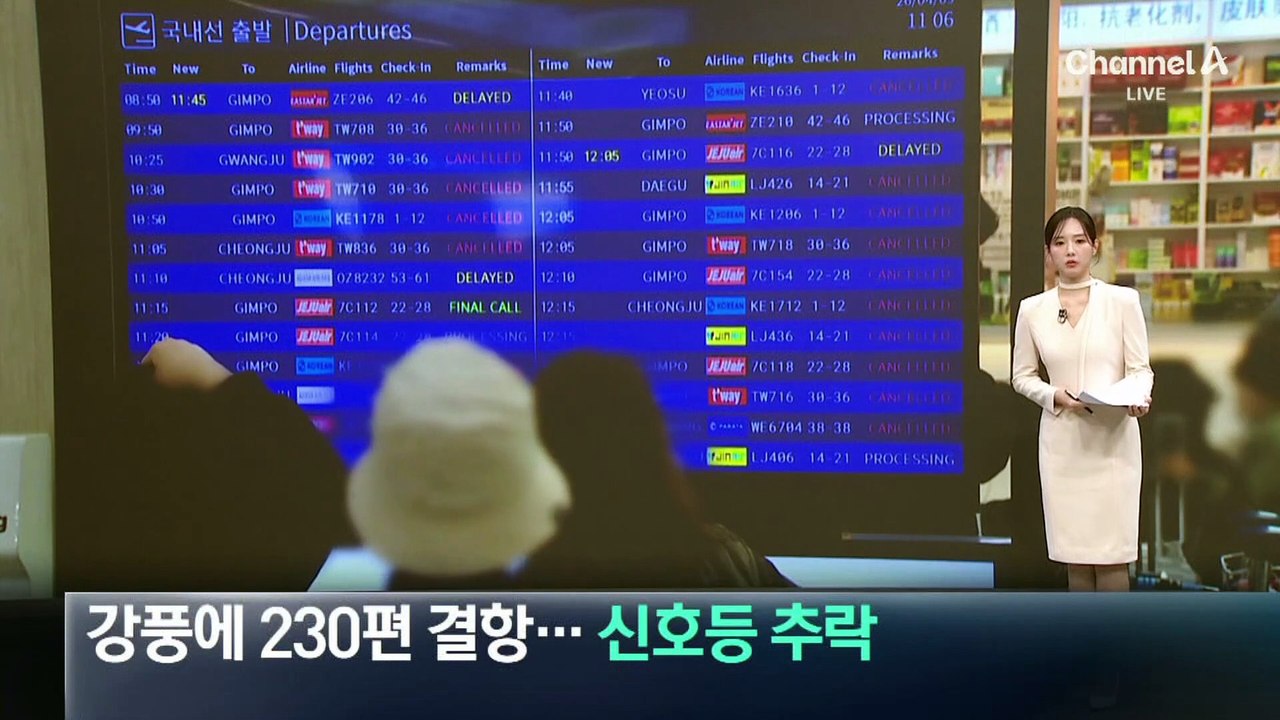 강풍에 230편 결항…신호등 추락