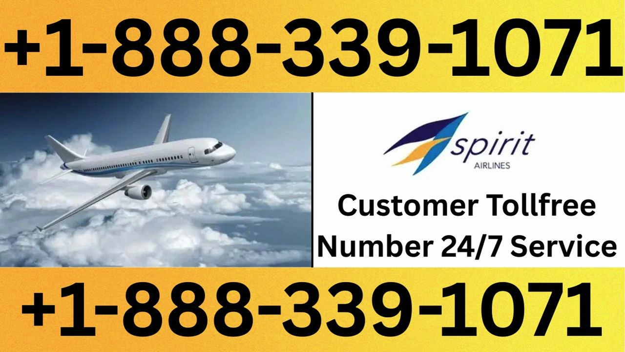 24-Hour Flight Cancellation Policy Explained