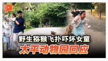 野生猕猴飞扑吓坏女童 太平动物园回应