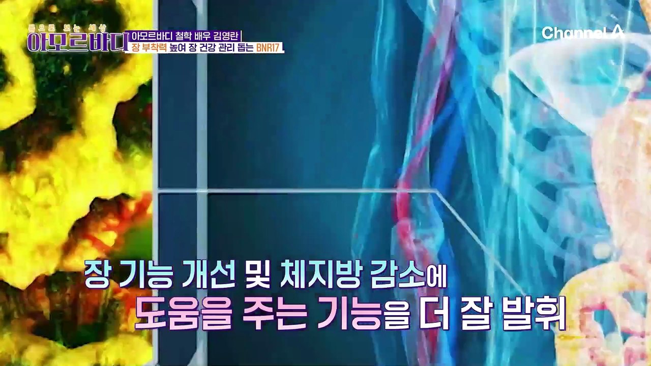 '허리둘레 5cm 감소' 체지방 감소는 물론 강인한 장 부착력으로 장 건강 관리에 도...