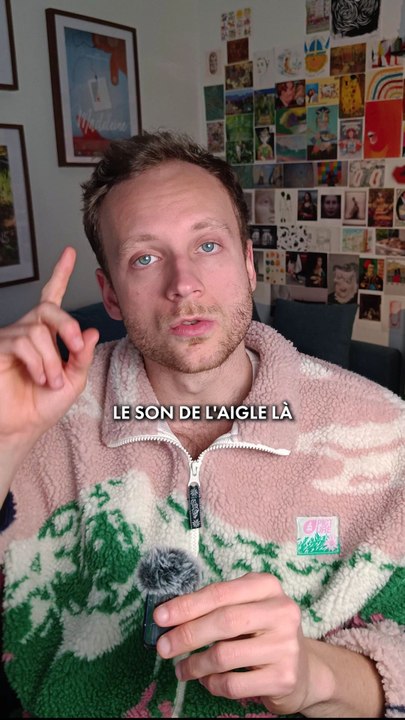 tout ce que tu vois, c'est faux ! 🙅‍♂️