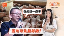 【百格大事纪】雪州可恢复养猪？陈泓缣仅透露一点 | 9.4.2026