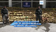 Un perro halla un récord de 48 toneladas de cannabis en una favela de Río