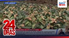 Epekto ng mahal na langis sa sektor ng pagsasaka at pangingisda, posibleng rollback, atbp. | 24 Oras