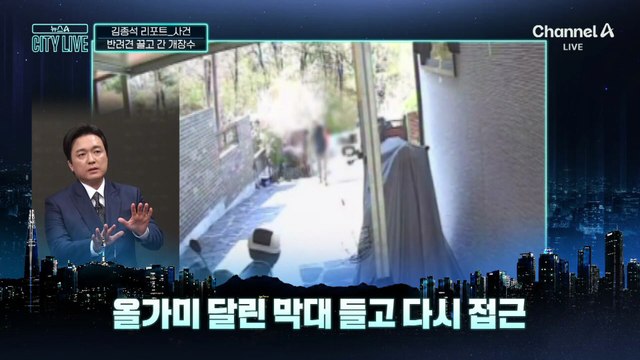 [김종석의 리포트]반려견 끌고간 남성…알고보니 개장수였다
