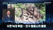 [김종석의 리포트]친구들 울음소리 들려줬지만…늑구 이틀째 행방 묘연