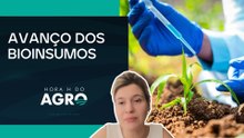 Área plantada com bioinsumos cresce 28% em 2025 | HORA H DO AGRO