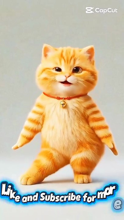 Cute ai cat dancing funny cat dancing