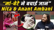 Nita Ambani का बड़ा कदम, Kamakhya के जानवर भेजे जाएंगे Vantara | Anant के Birthday पर खास पहल!