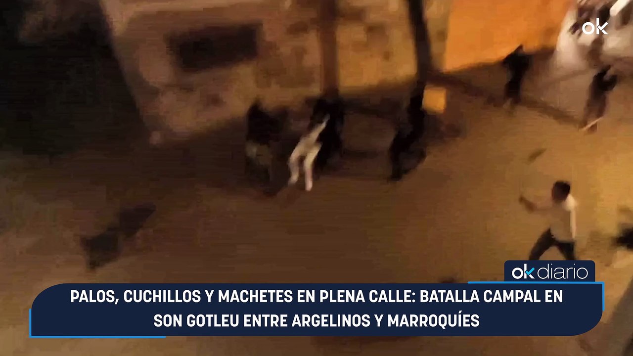 Palos, cuchillos y machetes en plena calle: batalla campal en Son Gotleu entre argelinos y marroquíes