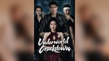 Underworld Crackdown Full Movie