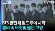 BTS, 월드투어 대장정 시작...보랏빛 아미 "보고 싶었어요" / YTN