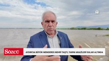 Aydın'da Büyük Menderes Nehri'nin taşması sonucu tarım arazileri sular altında kaldı