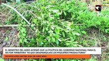 Afirman que la política de Nación para yerbateros es que desaparezcan los pequeños productores