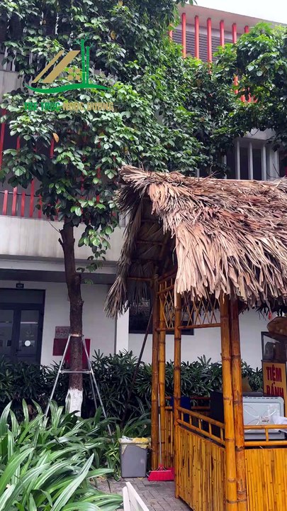 Thi công gian hàng tre tại khuôn viên Trường Đại học Phenikaa - Tre Trúc Ngọc Dương