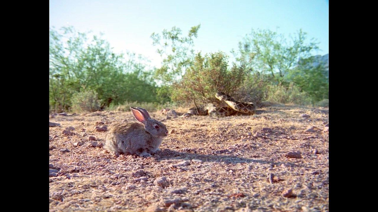 A Time For Dying (1969)
