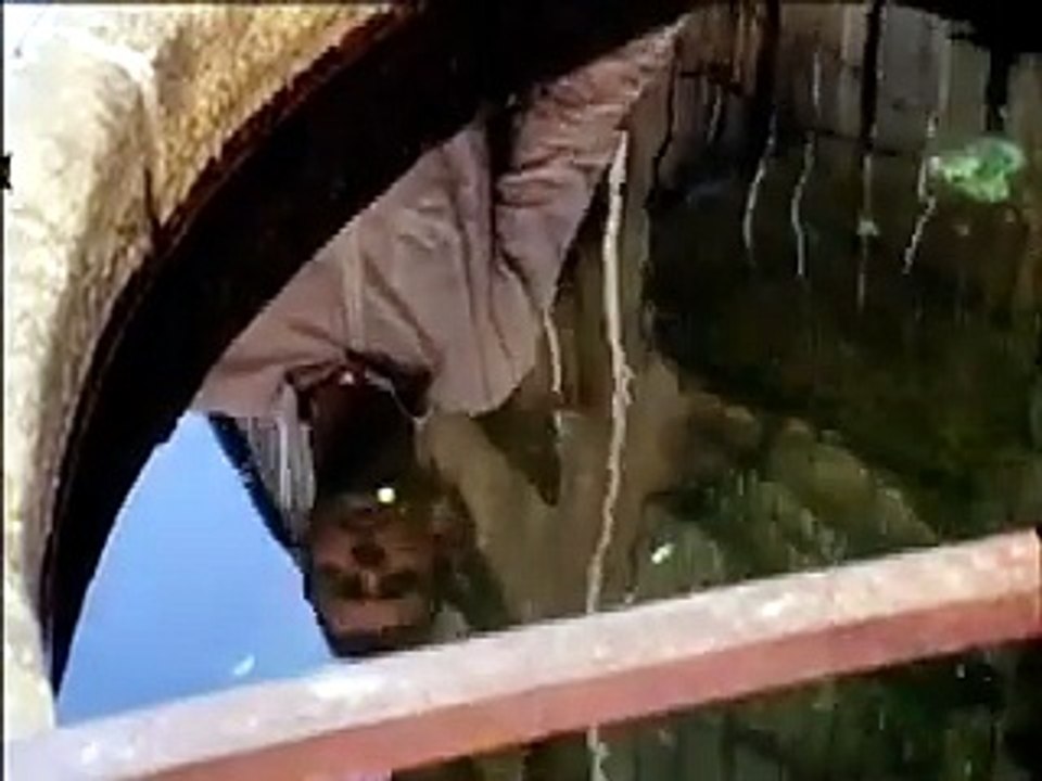Lucky Day (2007)