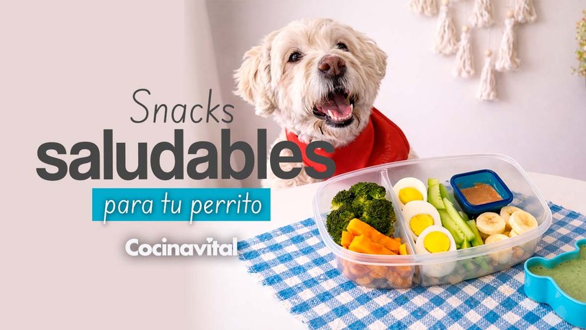 Receta de snacks saludables para tu mascota