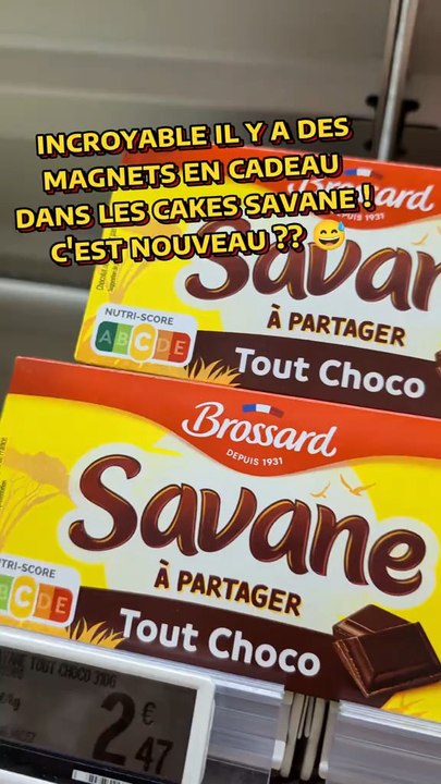les magnets savane