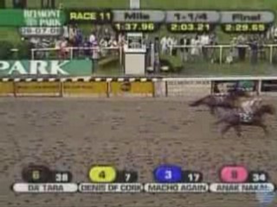 2008 Belmont Stakes