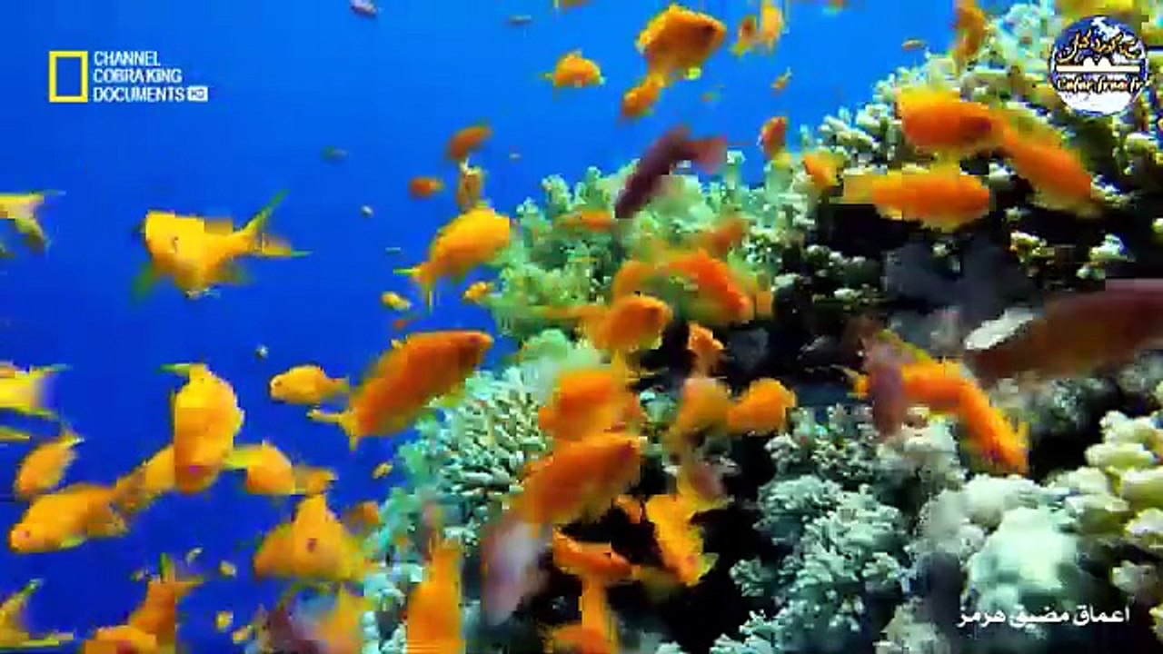 اعماق مضيق هرمز