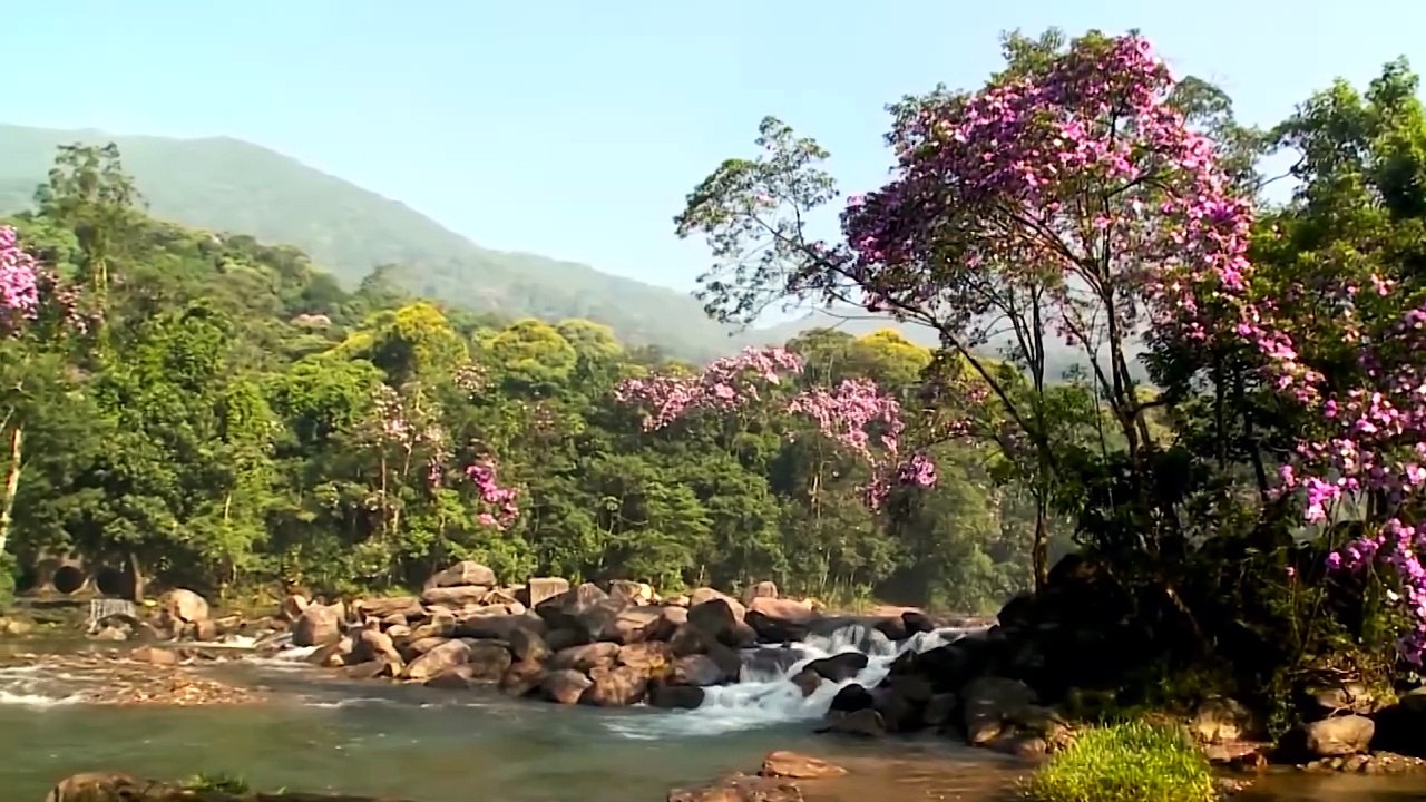 Cubatão comemora 77 anos nesta quinta