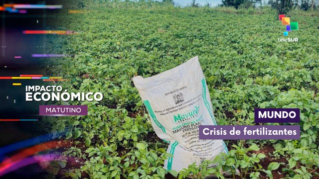 Impacto Económico | Mundo | Crisis de fertilizantes