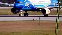 Massive Takeoff! Experience the Power of This Giant Aircraft ✈️💨