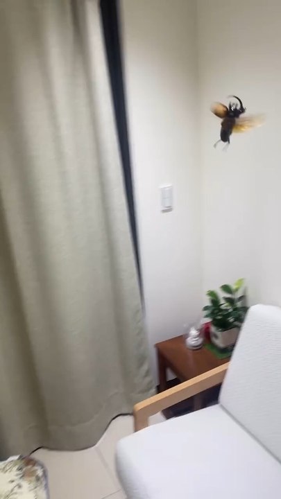 Quand tu dois tuer un insecte 🤣