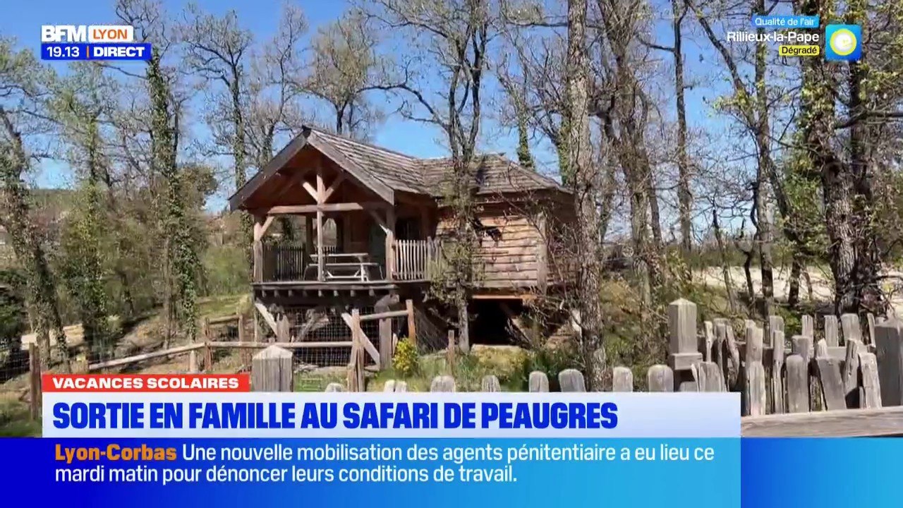 Safari de Peaugres : idée de sortie pour les vacances de Pâques