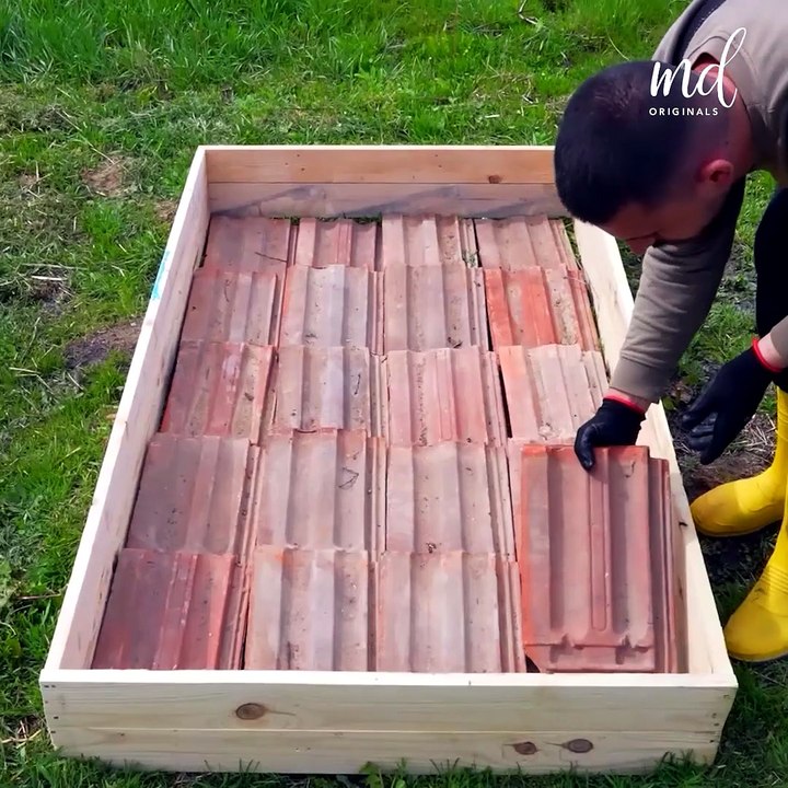 Veggie garden bed