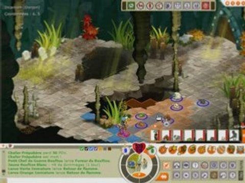 [Dofus] Feca niv. 120 VS Donjon d'Incarnam