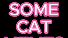 JUST SOME CAT MEMES😾😅