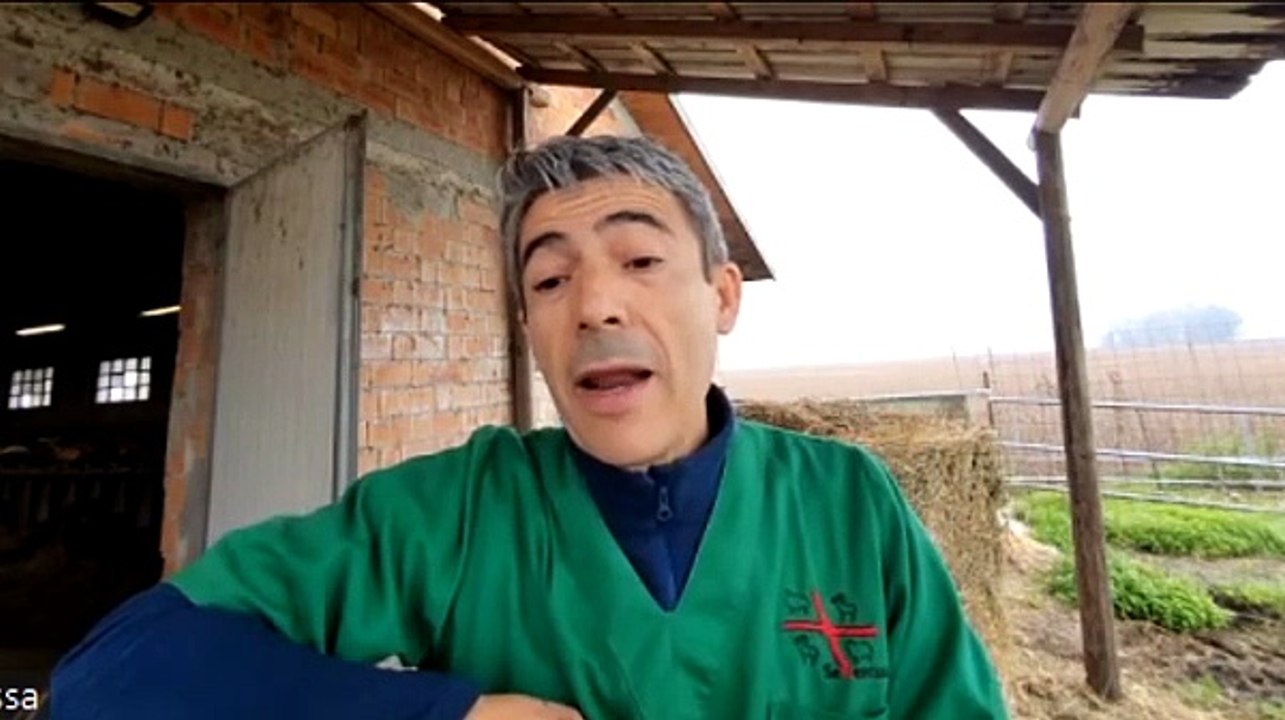 Aerei, la voce degli emigrati sardi: «Continuità territoriale per noi è un diritto negato»