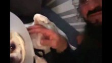 Agozzino Alfredo story con il piccolo Arnold in fase di cura