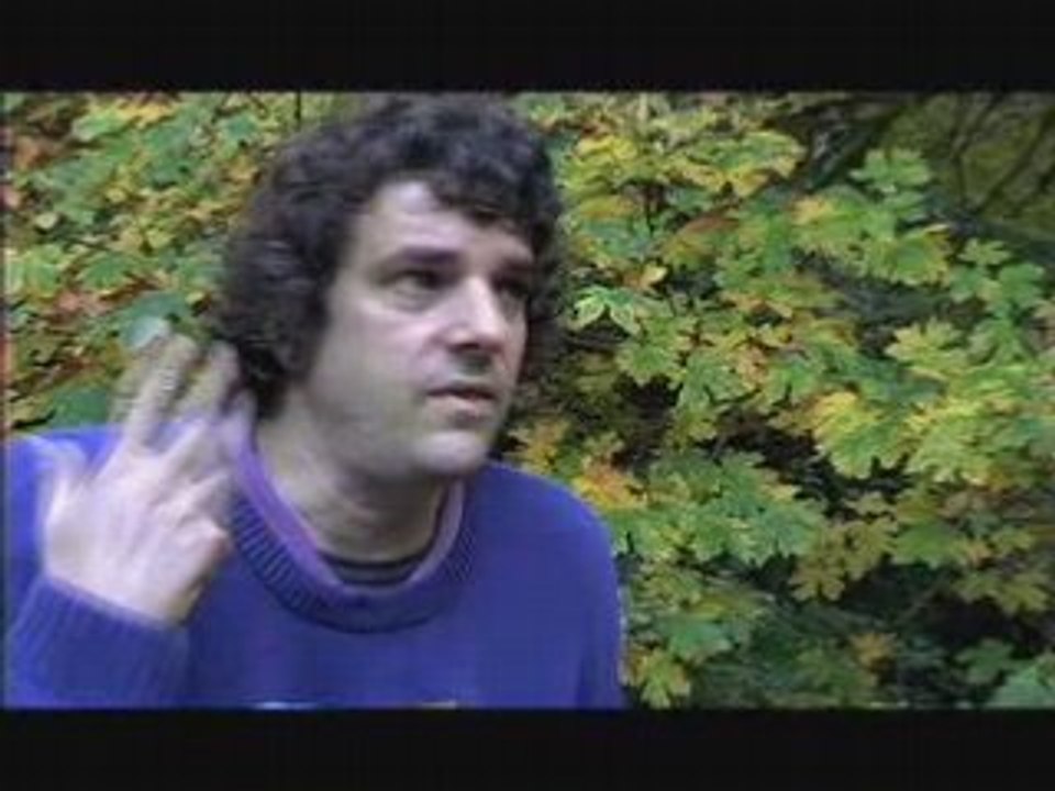 Derrick Jensen on Identification