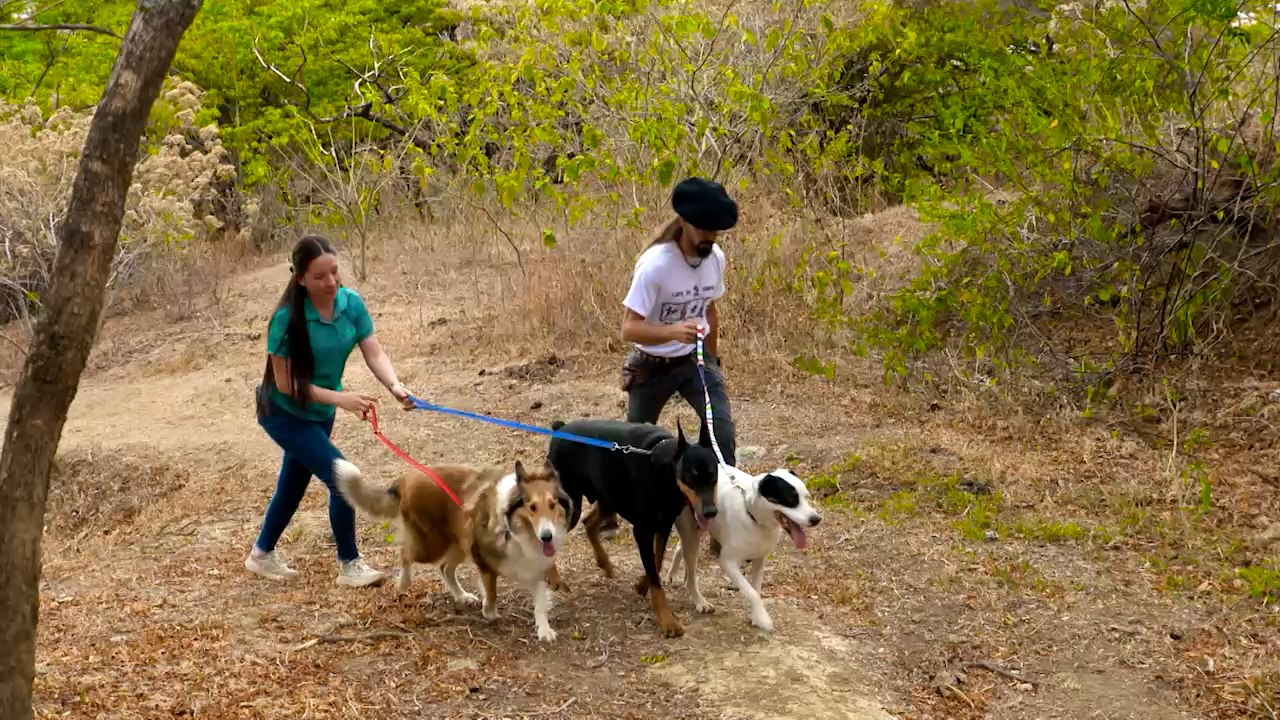 7est-un-nuevo-paraiso-para-perros-y-duenos-abre-sus-puertas-en-santa-ana-090426