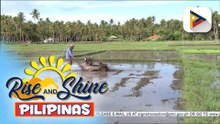 Food security task force, binuo ng D.A. upang bantayan ang presyo at supply ng pangunahing agricultural products sa bansa | ulat ni Carlo Candelaria
