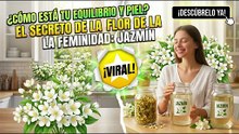 La flor de la feminidad: Beneficios del Jazmín para tu equilibrio y piel