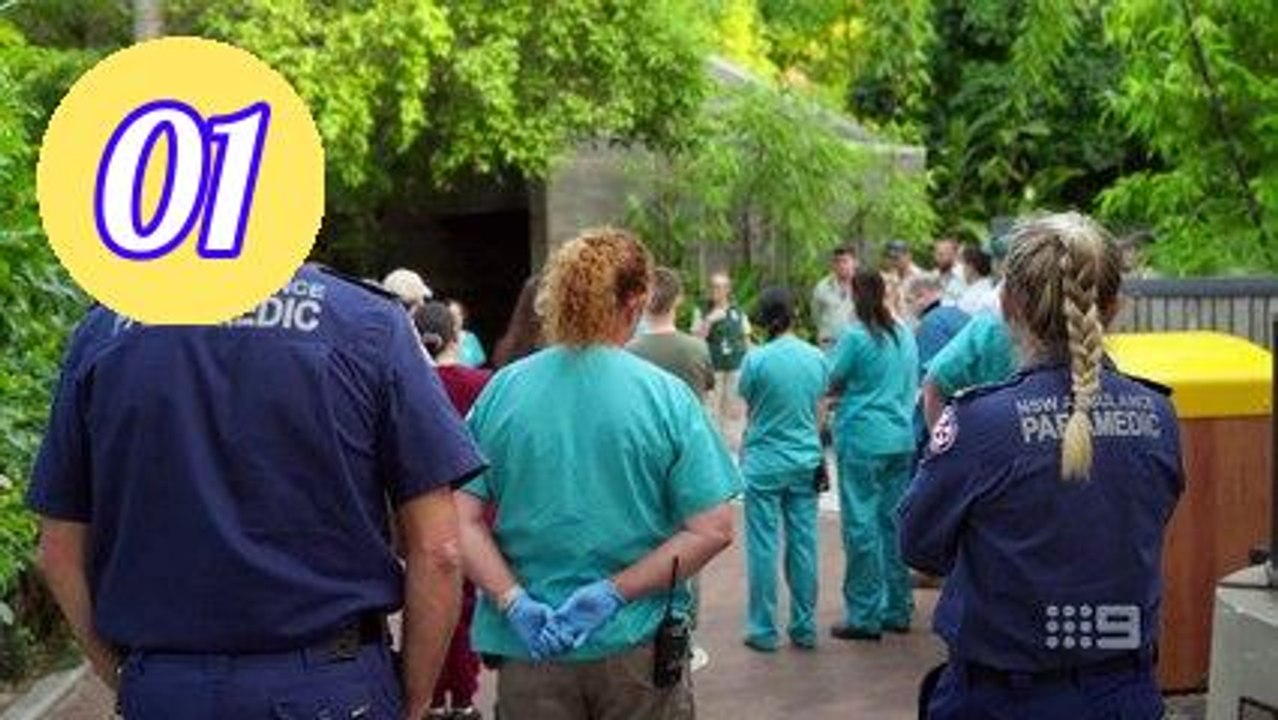 Taronga whos who in the zoo Season 06 Episode 1 Engsub